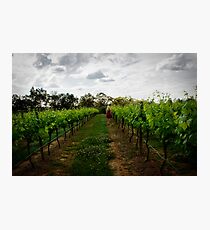 Lost in Patrick Plains - Hunter Valley Photographic Print