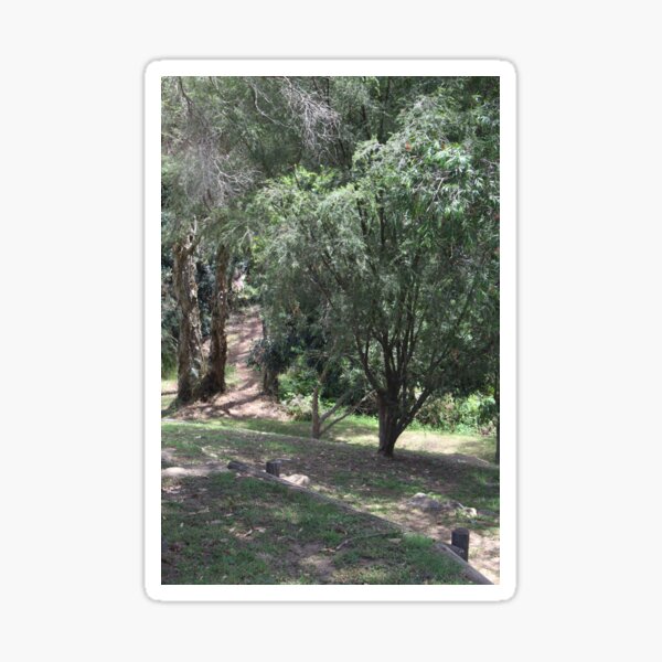 Item preview, Pathway designed and sold by Chantelle Ashton.