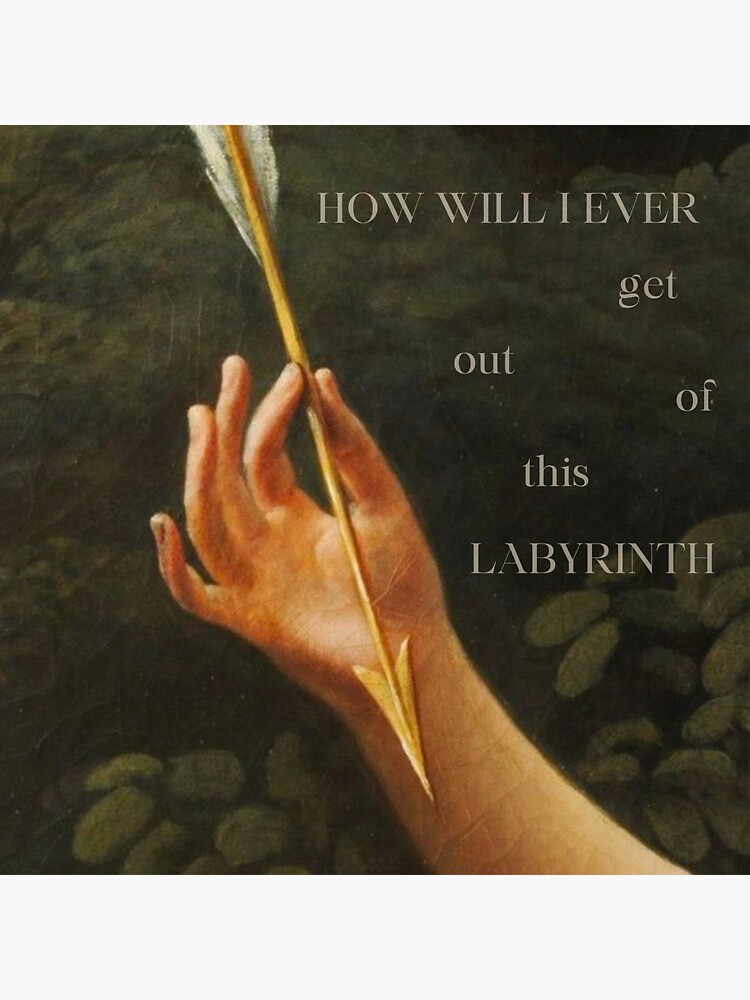 "How Will I Ever get out of this Labyrinth Looking For Alaska Quote