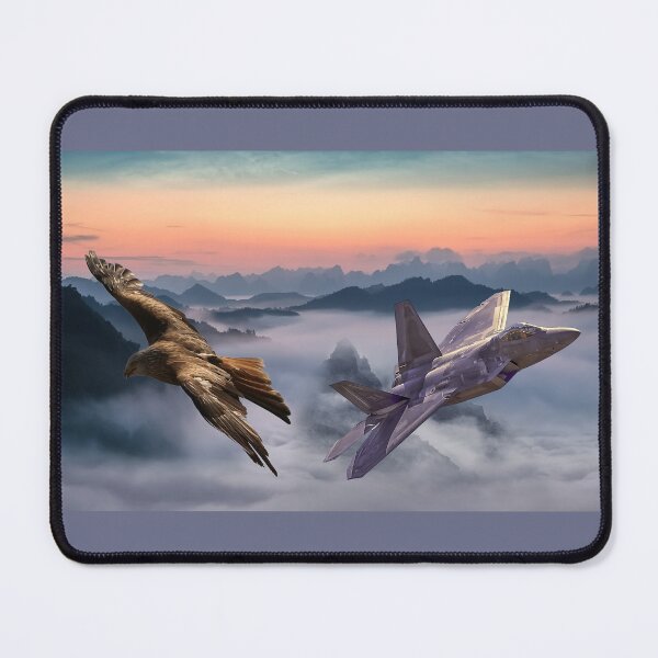Item preview, F22 Raptor designed and sold by Alisonchambers2.