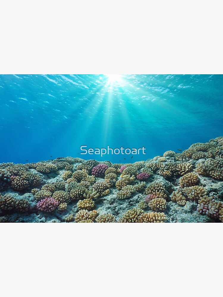 Underwater seascape in the Mediterranean sea, sunlight through