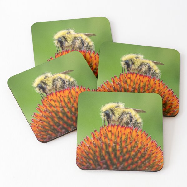 Item preview, Be all that you can Be designed and sold by Tracy Riddell.