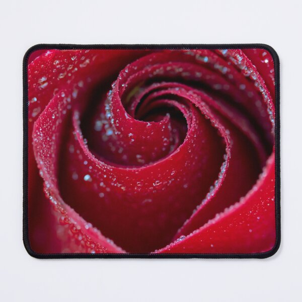 Aperçu de l'œuvre Rose rouge avec des gouttes d'eau créée et vendue par Catchystuff12.