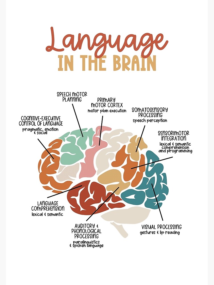 Sprache und Gehirn
