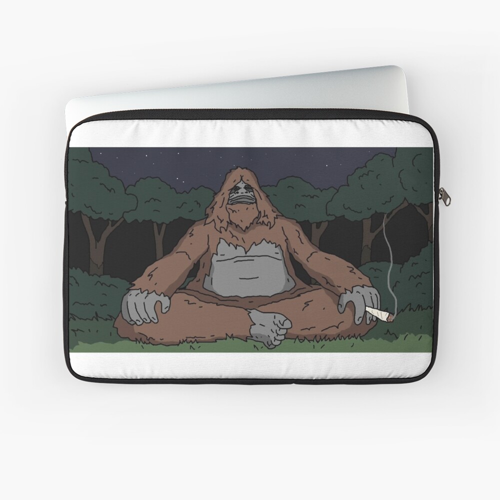 https://ih1.redbubble.net/image.4541727410.0369/ls,13inch,x1000-c,90,0,1000,1000-bg,f8f8f8.u1.jpg