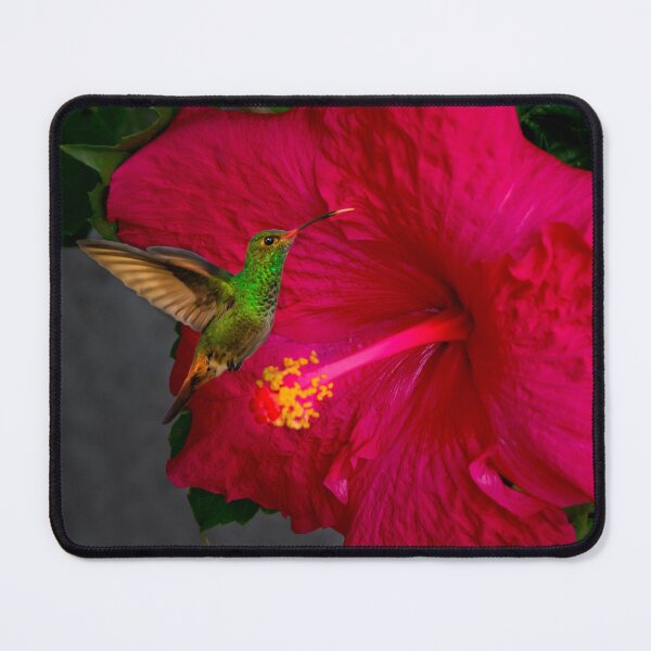 Item preview, Sweet Tasting Hibiscus For Tom Thumb designed and sold by alabca.