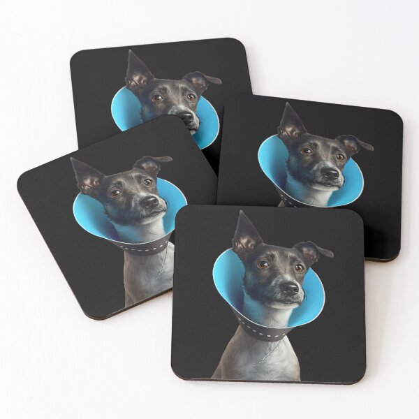 Item preview, Dog collar designed and sold by AnimalArtPhotos.