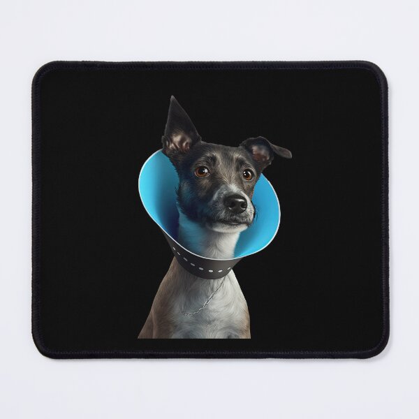 Item preview, Dog collar designed and sold by AnimalArtPhotos.