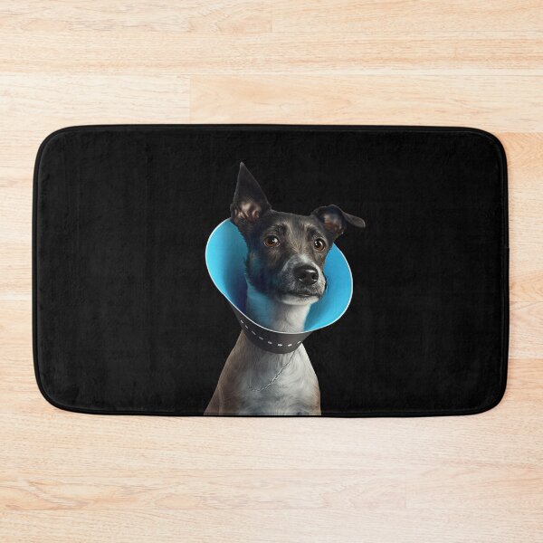 Item preview, Dog collar designed and sold by AnimalArtPhotos.