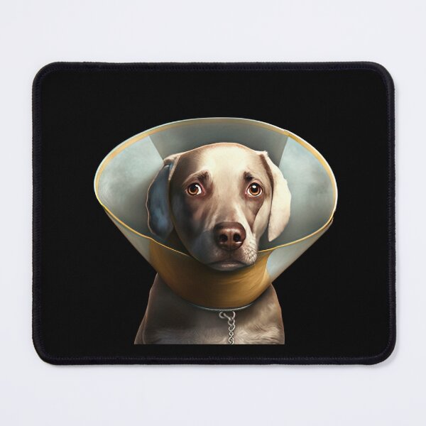 Item preview, Dog wearing collar designed and sold by AnimalArtPhotos.