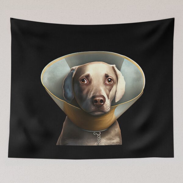 Item preview, Dog wearing collar designed and sold by AnimalArtPhotos.