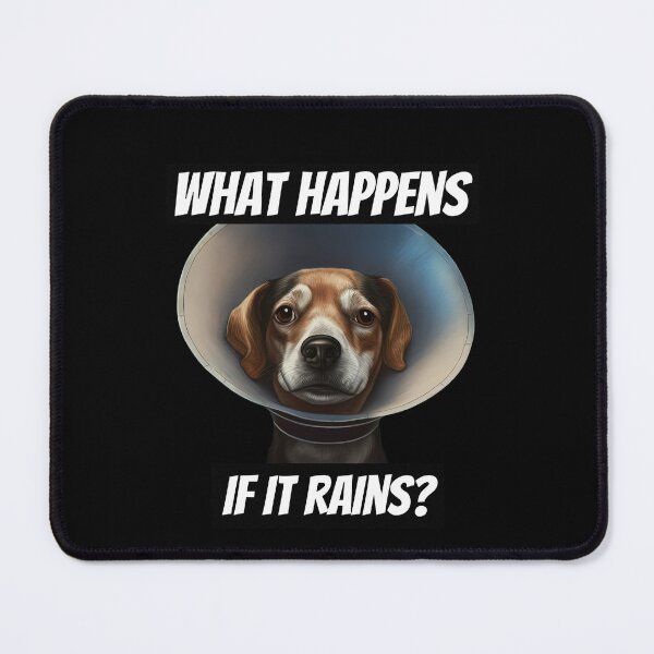 Item preview, Dog joke designed and sold by AnimalArtPhotos.