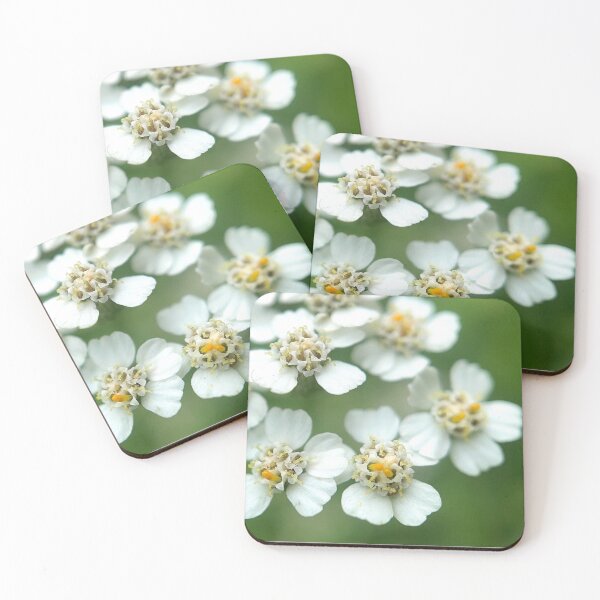 Item preview, Achillea designed and sold by Jason Tompkins.