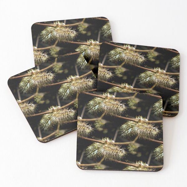 Item preview, Catkins in spring designed and sold by AdioraStore.