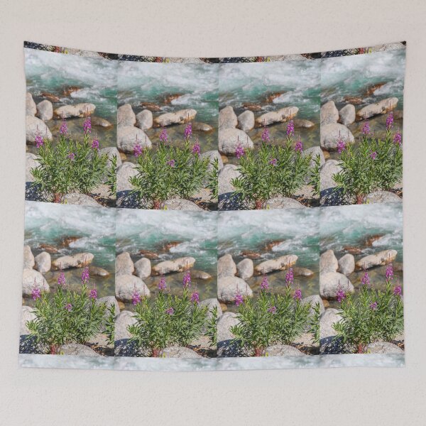 Item preview, USA. Alaska. Fireweed among Rocks. designed and sold by vadim19.
