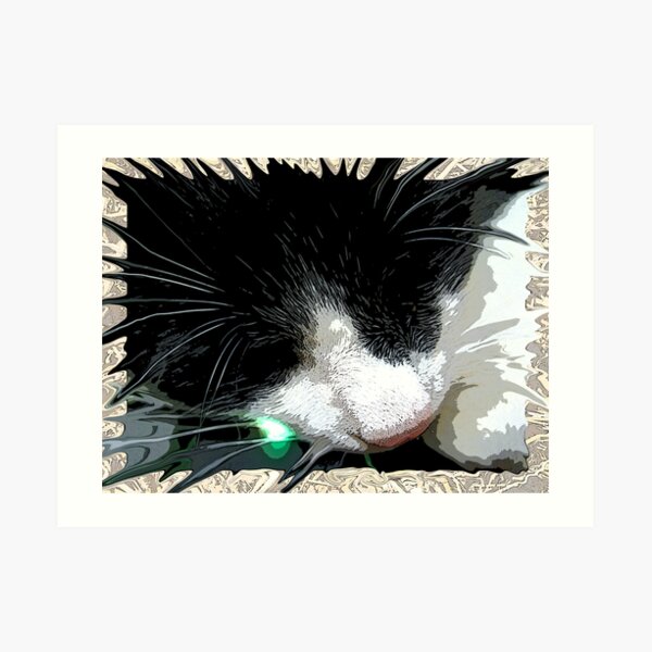 Catching Dreams Art Print