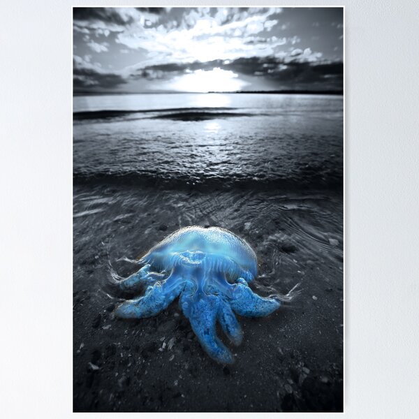 Item preview, Cordon Bleu designed and sold by Garry Schlatter.