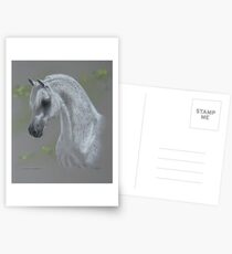 Wildon Impressive Postcards