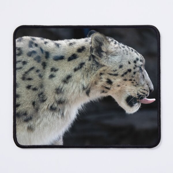 Item preview, cat blep designed and sold by Raven-Creative.