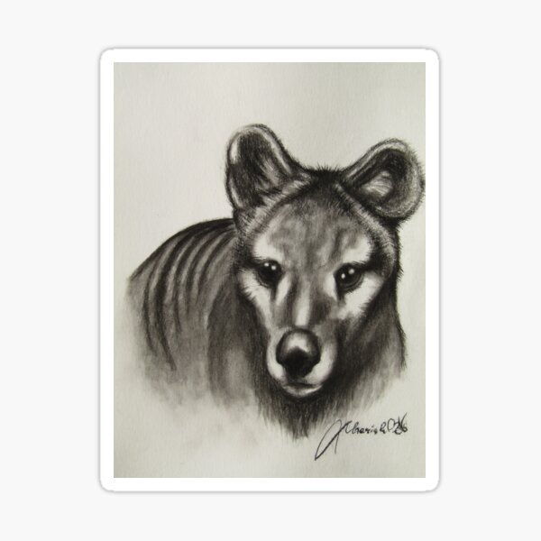 Thylacine Sticker
