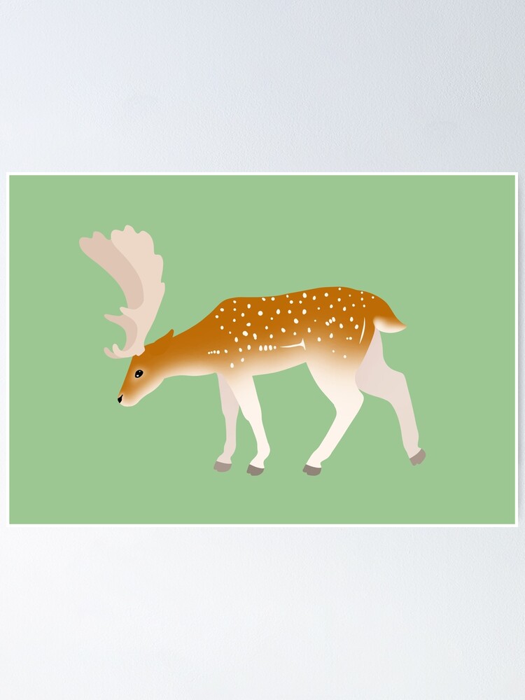 Fallow Deer Print