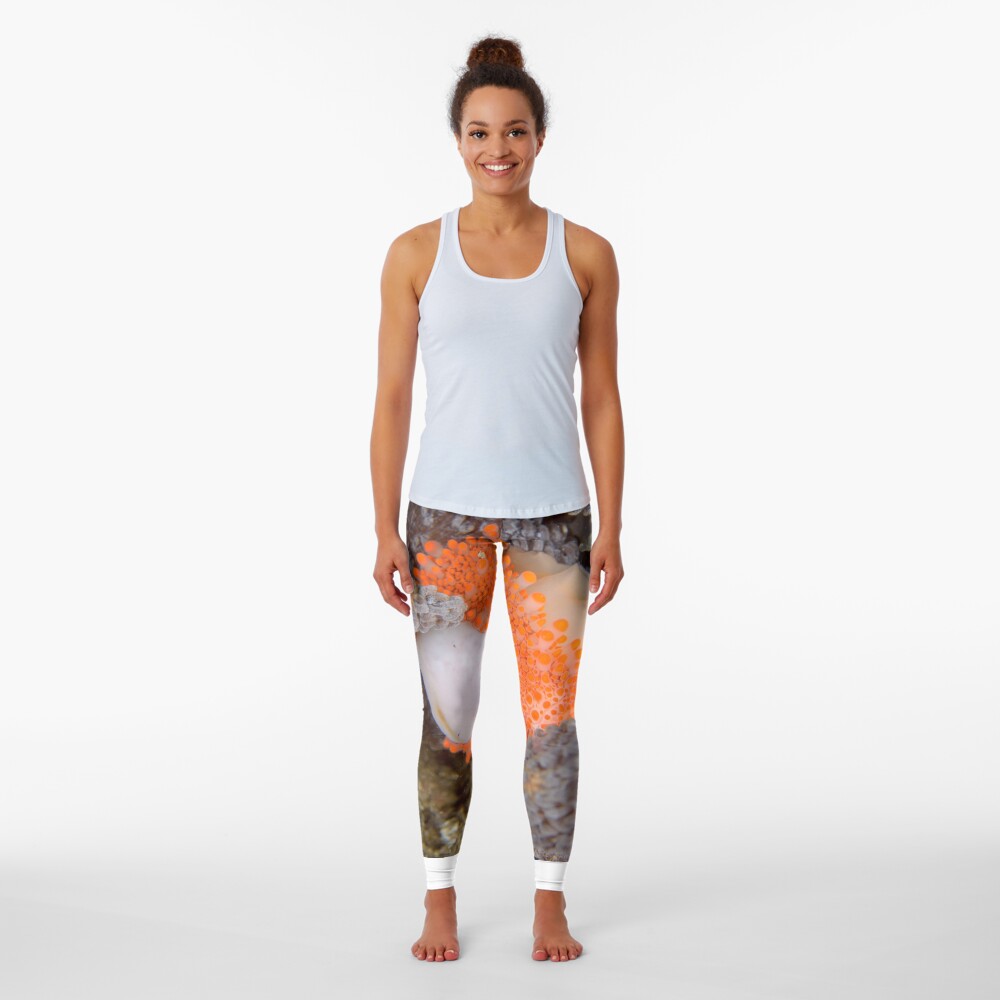 Golden Egg Cowrie - Ovula costellata Leggings