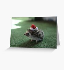 Cute Hedgehog Greeting Card