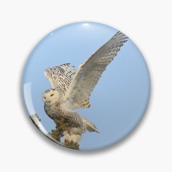 Item preview, Snowy owl lift off designed and sold by locustgirl.