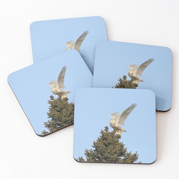 Item preview, Snowy owl lift off designed and sold by locustgirl.