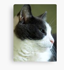 Yes, I'm Handsome Canvas Print
