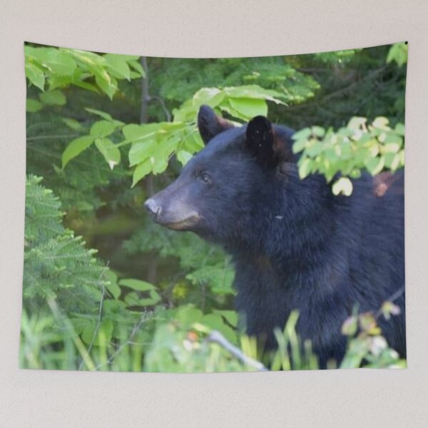 Item preview, Smiling Black Bear designed and sold by BellsPainting.