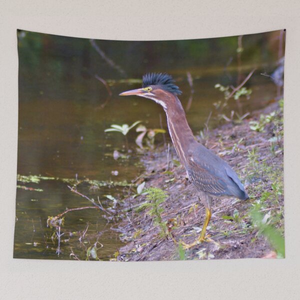 Item preview, Green Heron designed and sold by What I See by Dawne.