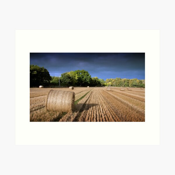 October light Art Print