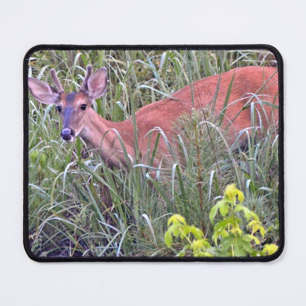 Item preview, White-tailed Deer designed and sold by What I See by Dawne.