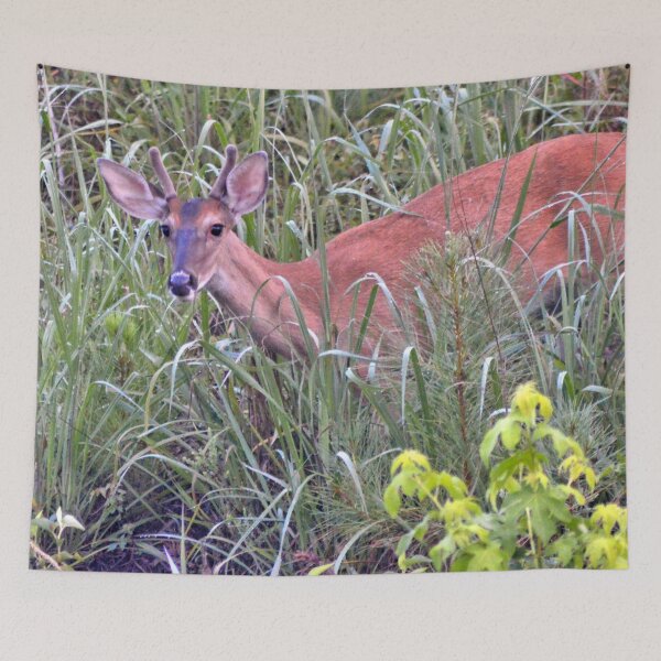 Item preview, White-tailed Deer designed and sold by What I See by Dawne.