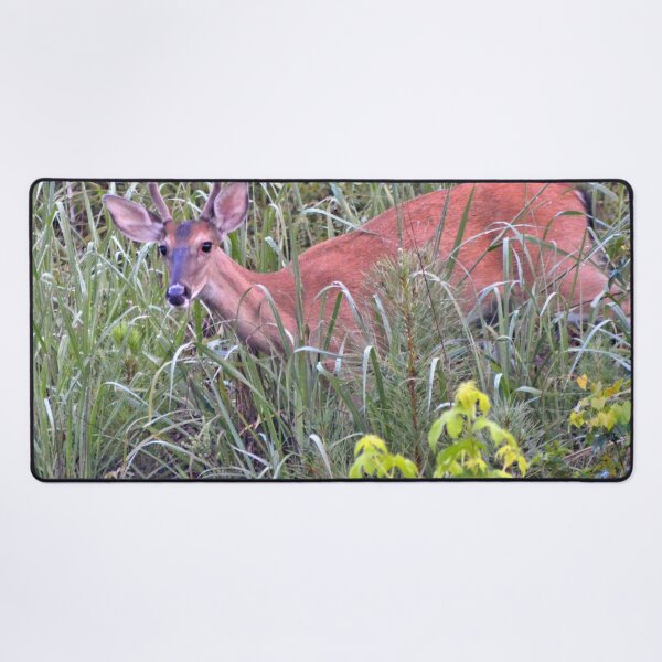 Item preview, White-tailed Deer designed and sold by What I See by Dawne.