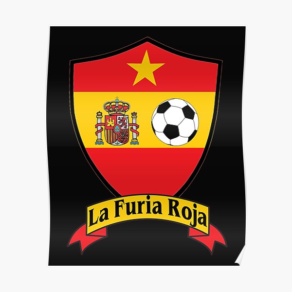 Spain's 2010 World Cup squad - Who were Furia Roja heroes and