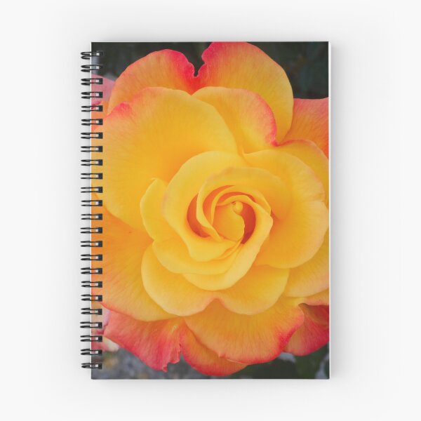 Item preview, Yellow pink rose designed and sold by Maxiverse.