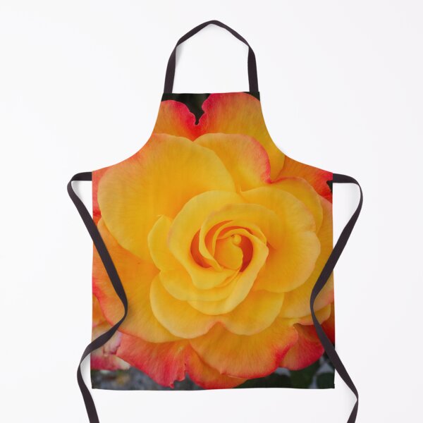 Item preview, Yellow pink rose designed and sold by Maxiverse.