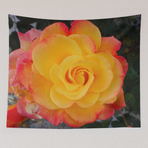 Item preview, Yellow pink rose designed and sold by Maxiverse.