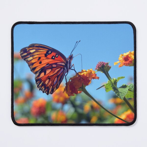 Item preview, Gulf Fritillary Butterfly On An Orange Lantana Flower designed and sold by What I See by Dawne.