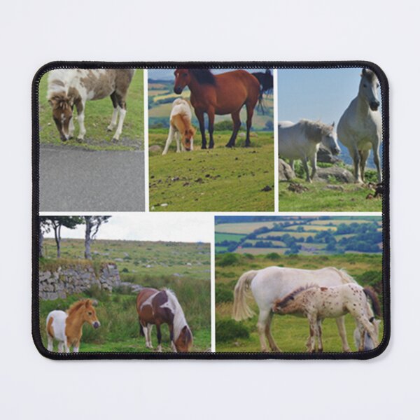 Item preview, Dartmoor Ponies Collage - Devon England designed and sold by lezvee.