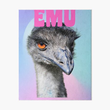 Cute animal babies turquoise Blue Emu ostrich baby bird Art Board Print  for Sale by Julieford