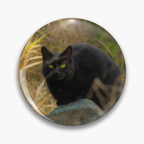 Item preview, Black cat  designed and sold by Sandi Walmsley.