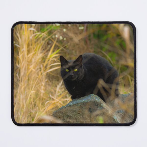 Item preview, Black cat  designed and sold by Sandi Walmsley.