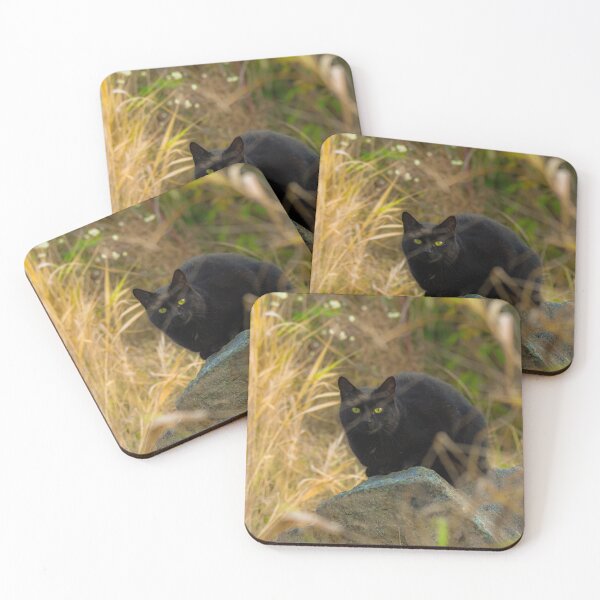 Item preview, Black cat  designed and sold by Sandi Walmsley.