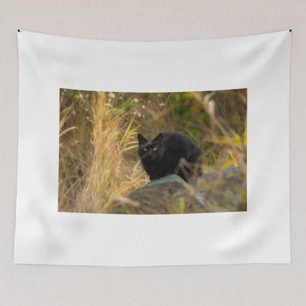 Item preview, Black cat  designed and sold by Sandi Walmsley.