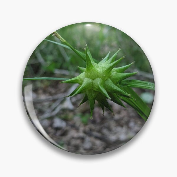 Item preview, Green Spiky Ball designed and sold by AustaArt.