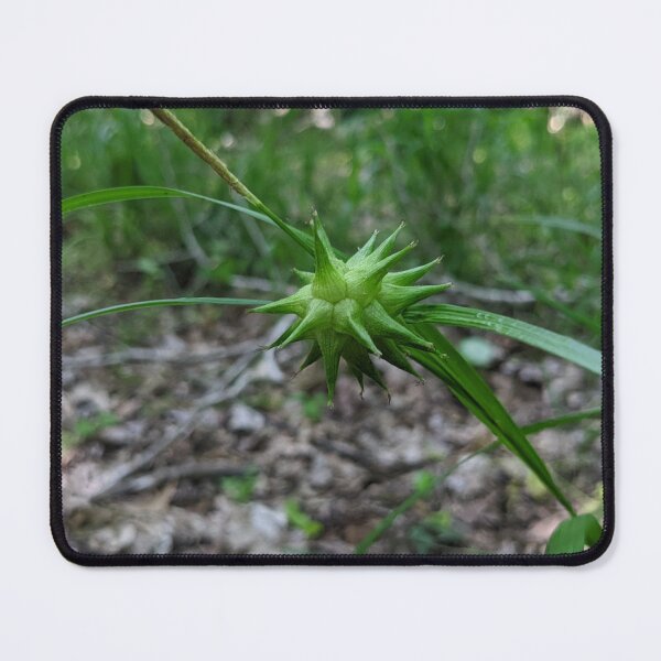 Item preview, Green Spiky Ball designed and sold by AustaArt.