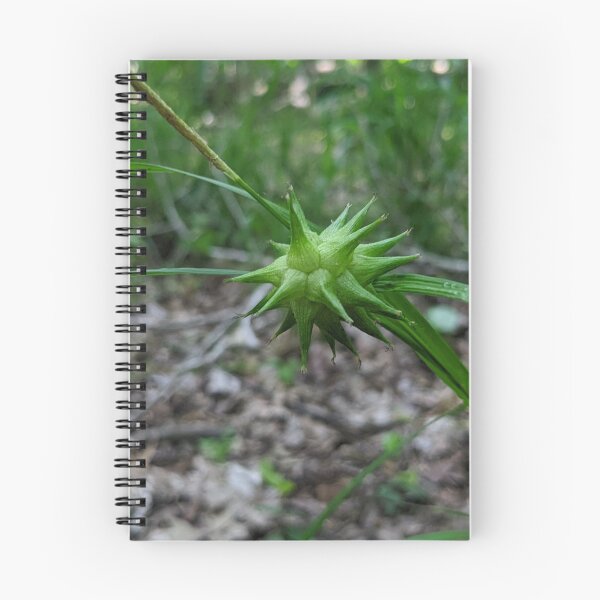 Item preview, Green Spiky Ball designed and sold by AustaArt.